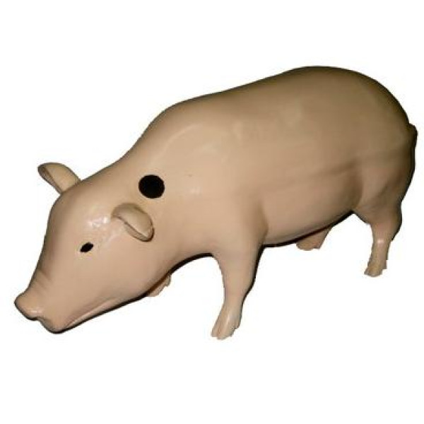 Con lợn (CSCN2022)